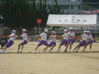 IMGP0010