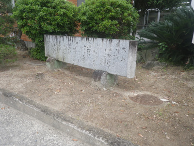 IMGP0031
